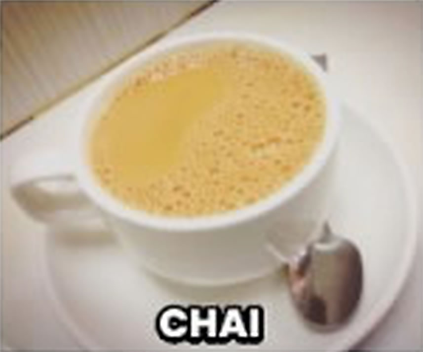 best pure veg food in manali